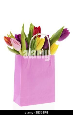 Sac papier avec tulipes colorées au printemps Banque D'Images