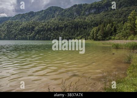 Sur la rive ouest du lac Weissensee près de Fuessen dans le district d'Ostallgaeu Banque D'Images