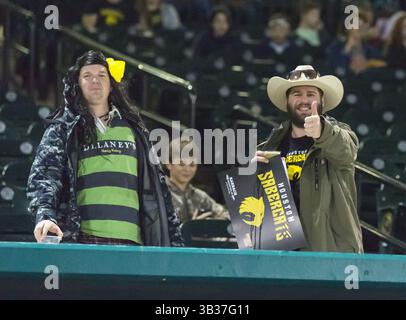 10 février 2018 - Sugar Land, Texas, États-Unis - les fans des SaberCats de Houston pendant la saison d'exposition des SaberCats de Houston vs Chicago Lions au Constellation Field, Sugar Land, Texas 10 février 2018 (crédit image : © Maria Lysaker via ZUMA Wire) Banque D'Images