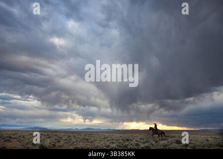 14 septembre 2010 - États-Unis - Un cow-boy monte son cheval sur le Pony Express National Historic Trail le 14 septembre 2010 dans le Wyoming. (Crédit image : © Bob Wick/Planet Pix via ZUMA Wire) Banque D'Images