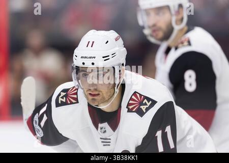 18 novembre 2017 : les Coyotes de l'Arizona quittent l'aile Brendan Perlini (11 ans) lors du match de la LNH opposant les Coyotes de l'Arizona aux sénateurs d'Ottawa au Centre Canadian Tire à Ottawa, au Canada. Arizona Coyotes a gagné par un score de 3-2 en prolongation. Daniel Lea/CSM (image de crédit : &copy ; Daniel Lea/CSM via ZUMA Wire) Banque D'Images