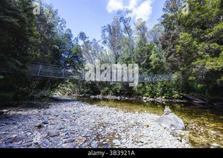 Pont suspendu de Frenchmans Cap dans le parc national Franklin-Gordon Wild Rivers par une chaude journée d'été en Tasmanie, Australie, Océanie Banque D'Images