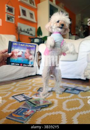 17 novembre 2017 - Doral, FL, États-Unis - sur la photo sont les chansons pour rendre les chiens heureux, l'un des articles pour le Guide des cadeaux Dave Barry 2017. L'actrice est ''Chiqui'' la Rocca photographiée chez elle. (Crédit image : © Carl juste/TNS via ZUMA Wire) Banque D'Images