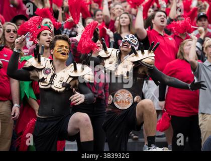 18 novembre 2017 - Athens, GA, USA - Athens, GA - 18 novembre 2017 : les Bulldogs de Géorgie classés numéro 7 accueillent les Wildcats du Kentucky au stade Sanford. Score final Géorgie 42, Kentucky 13. (Crédit image : © Steven Limentani/ISIPhotos via ZUMA Wire) Banque D'Images