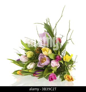 Tulipes colorées de bouquet avec bleu baie vert isolé sur fond blanc Banque D'Images Tulipes colorées de bouquet avec bleu baie vert isolé sur fond blanc Banque D'Images