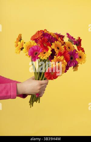 Bouquet coloré Gerber sur fond jaune Banque D'Images