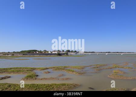 Ile de Ré avec lacs salés et village Loix Banque D'Images