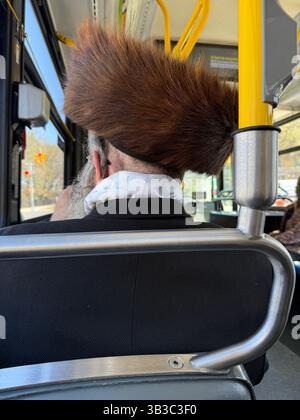 Homme juif dans un bus à Brooklyn, NY pendant la semaine de la Pâque. Le chapeau de fourrure principal porté par certains hommes juifs ashkénazes, principalement des membres du judaïsme hassidique, est le shtreimel. C'est un grand chapeau de fourrure noir porté le Shabbat, les fêtes juives, et d'autres occasions festives. Banque D'Images