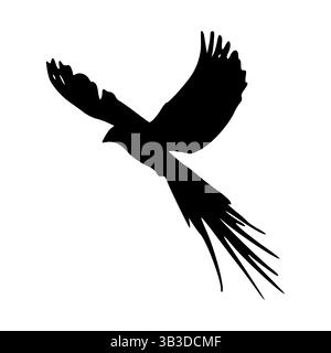 Art de silhouette d'oiseau : conception graphique vectorielle d'animal volant Illustration de Vecteur