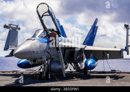 Les marins effectuent la maintenance programmée d’un E/A-18G Growler des « Cougars » de l’Electronic Attack Squadron (VAQ) 139 sur le pont d’envol de l’Aircr Banque D'Images