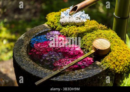 'Niwa Chozu' (jardin Flower Water Basin) Hanachozu dans le jardin Jodo-en avec hortensias roses et blanches avec des figures d'oiseaux au temple Yokoku-ji. Banque D'Images