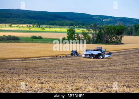 Une moissonneuse-batteuse bleue moderne se trouve sur un champ où la récolte de céréales de printemps vient d'être récoltée. Les agriculteurs effectuent de petites réparations et de petits travaux d'entretien. Banque D'Images