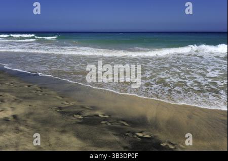 Empreintes dans le sable, plage noire, Jandia, Playa del Matorral, péninsule de Jandia, Fuerteventura, Îles Canaries, Îles Canaries, Océan Atlantique, Spai Banque D'Images