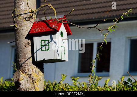Un charmant nichoir avec un toit rouge et des murs blancs est suspendu à une branche d'arbre. La journée ensoleillée met en valeur le cadre de la cour arrière, mettant en valeur la verdure et Banque D'Images