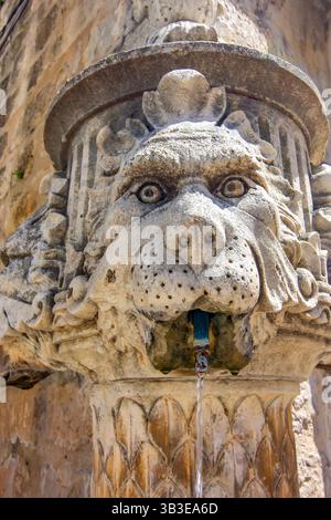 Courte description : gros plan d'une fontaine en pierre en forme de lion avec de l'eau coulant de son embouchure, situé dans le centre historique de Dubrovnik, Croati Banque D'Images