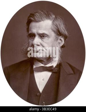 Professeur Thomas Henry Huxley, 1880. Entre les années 1847-1850 Huxley était chirurgien assistant à bord du HMS Rattlesnake au large des côtes est et nord de l'Australie. En 1855, il est nommé professeur d'histoire naturelle à la Royal School of Mines et fait autorité dans l'étude des fossiles, en particulier des poissons et des reptiles. Il était un partisan du darwinisme, et était en opposition directe avec Richard Owen. Son travail "la place de l'homme dans la nature", qui a été publié en 1863, a suscité beaucoup d'intérêt en Europe et en Amérique. C'est Huxley qui a conçu le mot agnostique, pour décrire son religieux Banque D'Images