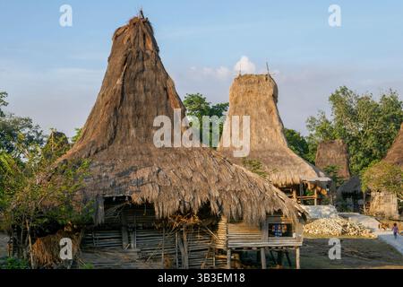 Vue en fin d'après-midi de belles maisons traditionnelles au toit de chaume dans le village de Warawaru, Lamboya, Sumba Ouest, Nusa Tenggara est, Indonésie Banque D'Images