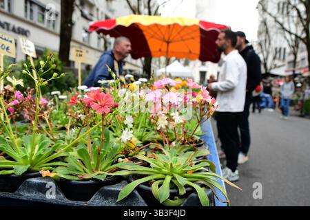 Villeurbanne, France. 13 avril 2025. Stands de fleurs vus en vente lors du festival Côté jardins sur l'avenue Henri-Barbusse. (Photo de Romain Doucelin/SOPA images/SIPA USA) crédit : SIPA USA/Alamy Live News Banque D'Images