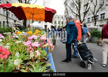 Villeurbanne, France. 13 avril 2025. Stands de fleurs vus en vente lors du festival Côté jardins sur l'avenue Henri-Barbusse. (Photo de Romain Doucelin/SOPA images/SIPA USA) crédit : SIPA USA/Alamy Live News Banque D'Images