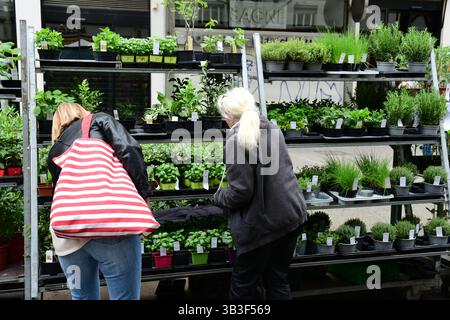 Villeurbanne, France. 13 avril 2025. Les gens regardent les plantes dans le jardin lors du festival Côté jardins sur l’avenue Henri-Barbusse. (Photo de Romain Doucelin/SOPA images/SIPA USA) crédit : SIPA USA/Alamy Live News Banque D'Images