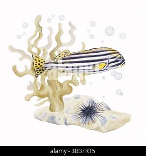 Les poissons tropicaux rayés nagent à travers les coraux. Sable avec des cailloux et des pierres. L'oursin flotte sur le fond. Bulles sur le fond. Aquarelle Banque D'Images