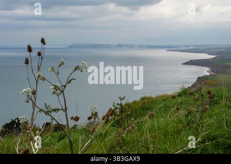 Côte sud-ouest de l'île de Wight depuis Blackgang Chine Banque D'Images