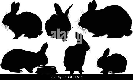 Collection de silhouettes de lapin dans diverses poses Illustration de Vecteur
