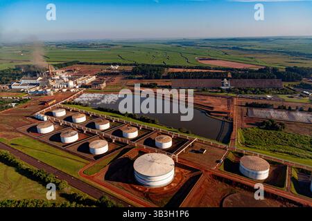 Vue aérienne mettant en évidence la vaste gamme de réservoirs cylindriques de stockage d'éthanol à l'usine d'éthanol et de sucre de São Martinho dans l'État de São Paulo. Banque D'Images
