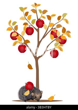 Arbre d'automne avec des pommes rouges et un hérisson sur un fond blanc. Illustration de Vecteur