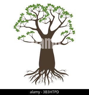 Baobab avec des feuilles et des racines sur un fond blanc. Illustration de Vecteur