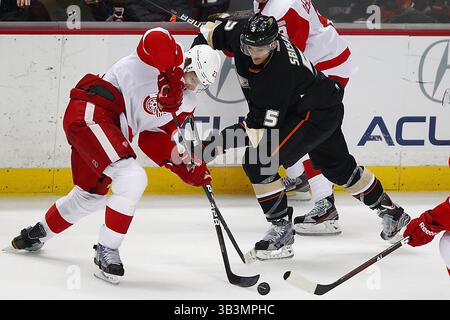 20 novembre 2011 - Anaheim, Californie, États-Unis - le défenseur des Red Wings de Detroit Brad Stuart (23 ans) et le défenseur des Ducks d'Anaheim Luca Sbisa (5 ans) se battent pour la possession en troisième période alors que les Ducks d'Anaheim prennent les Red Wings de Detroit au Honda Center d'Anaheim, CA. Les Red Wings gagnent 4-2. (Crédit image : © Joe Scarnici via ZUMA Wire) Banque D'Images