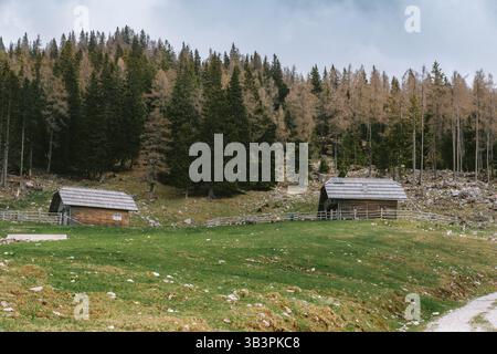 Planina podvežak, Slovénie 27.4,2025. Cabanes traditionnelles en bois à Planina Podvežak, entourées de prairies alpines et de forêts denses slovènes. Banque D'Images