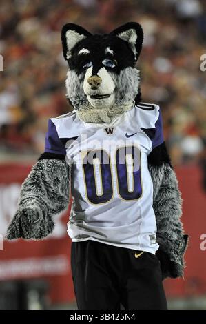 8 octobre 2015 Los Angeles, CA.Mascot Harry des Huskies de Washington lors du match de football de la NCAA entre les Huskies de Washington et les Trojans de l'USC au Coliseum de Los Angeles, Californie..les Huskies de Washington battent les Trojans de l'USC 17-12.crédit photo obligatoire : Louis Lopez/CSM(image crédit : © Louis Lopez/CSM via ZUMA Wire) Banque D'Images