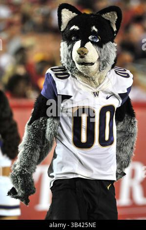 8 octobre 2015 Los Angeles, CA.Mascot Harry des Huskies de Washington lors du match de football de la NCAA entre les Huskies de Washington et les Trojans de l'USC au Coliseum de Los Angeles, Californie..les Huskies de Washington battent les Trojans de l'USC 17-12.crédit photo obligatoire : Louis Lopez/CSM(image crédit : © Louis Lopez/CSM via ZUMA Wire) Banque D'Images