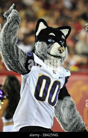 8 octobre 2015 Los Angeles, CA.Mascot Harry des Huskies de Washington lors du match de football de la NCAA entre les Huskies de Washington et les Trojans de l'USC au Coliseum de Los Angeles, Californie..les Huskies de Washington battent les Trojans de l'USC 17-12.crédit photo obligatoire : Louis Lopez/CSM(image crédit : © Louis Lopez/CSM via ZUMA Wire) Banque D'Images