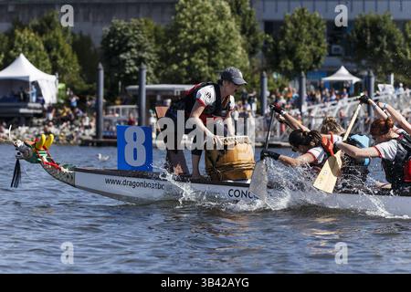 22 juin 2014 - Vancouver, Colombie-Britannique, Canada - les coureurs de bateaux-dragons participent au Festival Rio Tinto Alcan des bateaux-dragons à False Creek à Vancouver, Canada. (Crédit image : © Andrew Chin/ZUMA Wire/ZUMAPRESS.com) Banque D'Images