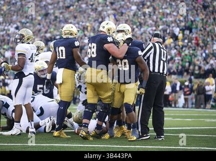 19 septembre 2015 : les joueurs de notre Dame célèbrent le touchdown de notre Dame Running back C.J. Prosise (20 ans) lors d'un match de football NCAA entre les Georgia Tech Yellow Jackets et les notre Dame Fighting Irish au notre Dame Stadium de South Bend, Indiana. Notre Dame bat Georgia Tech 30-22. John Mersits/CSM.(image de crédit : © John Mersits/CSM via ZUMA Wire) Banque D'Images