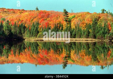 16 août 1995 - North Shore, MN, États-Unis - les couleurs d'automne font une image miroir sur un étang au parc d'État de Temperance River dans le nord-est du Minnesota. (Crédit image : © Marlin Levison/TNS via ZUMA Wire) Banque D'Images