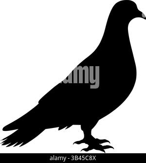 silhouette de pigeon, conception d'oiseau d'illustration vectorielle isolé sur blanc Illustration de Vecteur