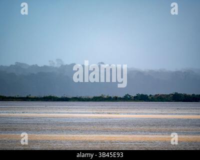Paysage du fleuve Amazone, pris un jour de pluie. La photo a été prise près de Tefé. Banque D'Images