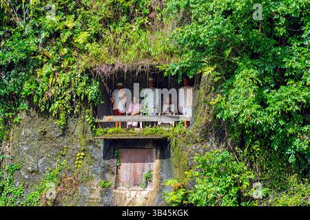 De spectaculaires effigies en bois grandeur nature ou tau tau des défunts sont nichées parmi les cryptes. Le site funéraire de Lemo est l'un des plus anciens sites de Toraja. Banque D'Images