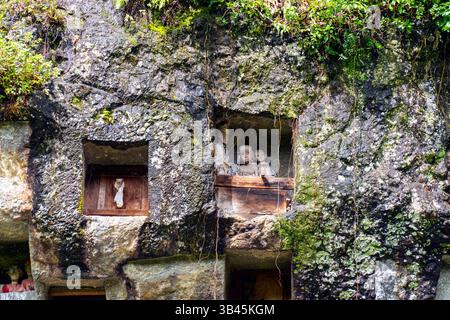 De spectaculaires effigies en bois grandeur nature ou tau tau des défunts sont nichées parmi les cryptes. Le site funéraire de Lemo est l'un des plus anciens sites de Toraja. Banque D'Images