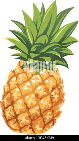 Illustration vectorielle d'ananas isolé sur Un fond blanc. Illustration de Vecteur