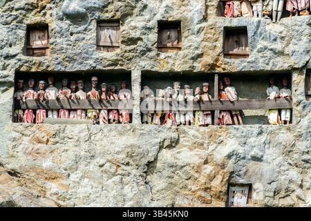 De spectaculaires effigies en bois grandeur nature ou tau tau des défunts sont nichées parmi les cryptes. Le site funéraire de Lemo est l'un des plus anciens sites de Toraja. Banque D'Images