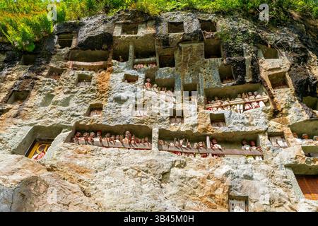 De spectaculaires effigies en bois grandeur nature ou tau tau des défunts sont nichées parmi les cryptes. Le site funéraire de Lemo est l'un des plus anciens sites de Toraja. Banque D'Images