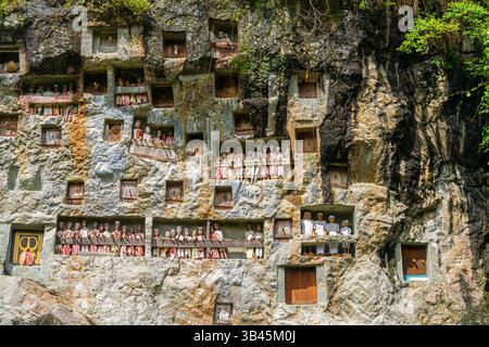 De spectaculaires effigies en bois grandeur nature ou tau tau des défunts sont nichées parmi les cryptes. Le site funéraire de Lemo est l'un des plus anciens sites de Toraja. Banque D'Images
