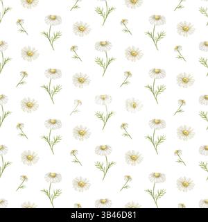 Modèle sans couture avec des fleurs de camomille, illustrations botaniques aquarelle pour un fond d'été délicat, idéal pour décorer des tissus, du papier peint, des vêtements, des emballages Banque D'Images
