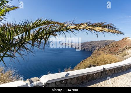 La côte de Santorin capturée à travers des feuilles de palmier avec des eaux bleues claires. Banque D'Images