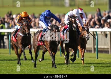 Photo du dossier datée du 08-10-2022 de Silver Knott (deuxième à gauche), qui vise à ajouter un autre triomphe Pattern à sa collection lorsqu’il dirige le terrain Betfred Jockey Club Stakes à Newmarket. Date d'émission : mercredi 30 avril 2025. Banque D'Images
