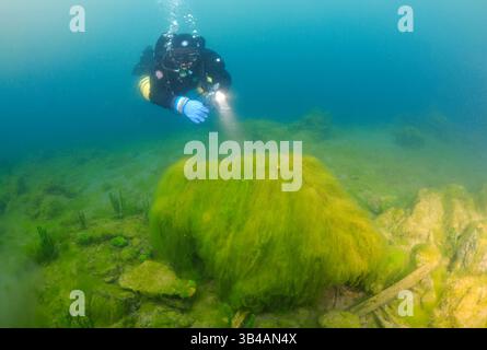 19 juin 2012 - algues vertes (Chlorophyta) Lac Baïkal, Sibérie, Fédération de Russie, Eurasie. (Crédit image : © Andrey Nekrasov/ZUMA Wire/ZUMAPRESS.com) Banque D'Images